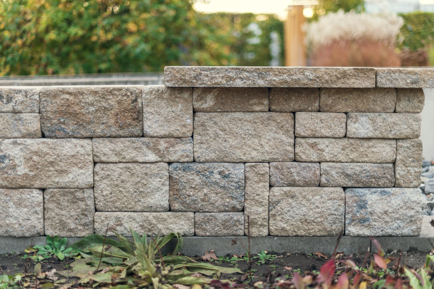 A coursed split-face granite retaining wall about four courses high with a flat sawn cap slab along the top, planted with low perennials along its base.