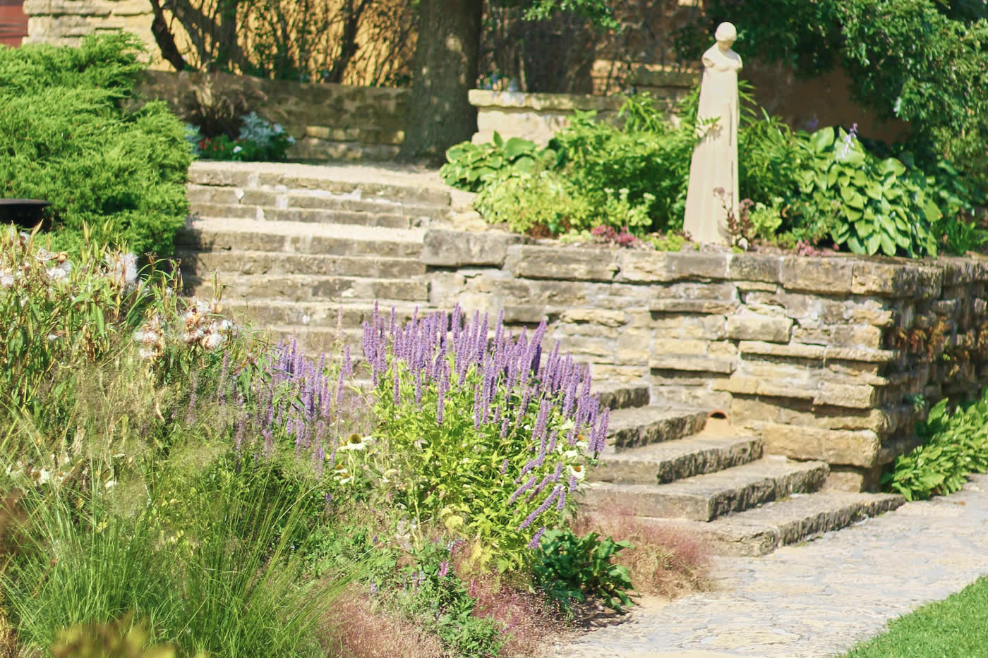 Rough-hewn limestone steps climbing between dry-laid limestone retaining walls, with purple salvia spires, white coneflowers and tall grasses spilling over the left edge.
